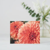 Coral Orange Dahlia Postkarte (Stehend Vorderseite)