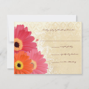 Coral & Orange Gerber Daisy Wedding Einladung