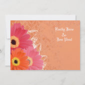 Coral & Orange Gerber Daisy Wedding Einladung (Rückseite)