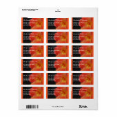 Coral Orange Hibiskus Blume Adressaufkleber (Vorne)