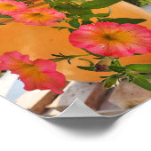 Coral Petunias in a Pot Poster (Ecke)