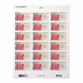 Coral Pink Garden Tulip Adressaufkleber (Vorne)