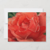 Coral Pink Rose Flower Art Note Card Set Mitteilungskarte (Vorderseite)