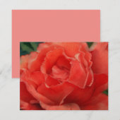 Coral Pink Rose Flower Art Note Card Set Mitteilungskarte (Vorne/Hinten)