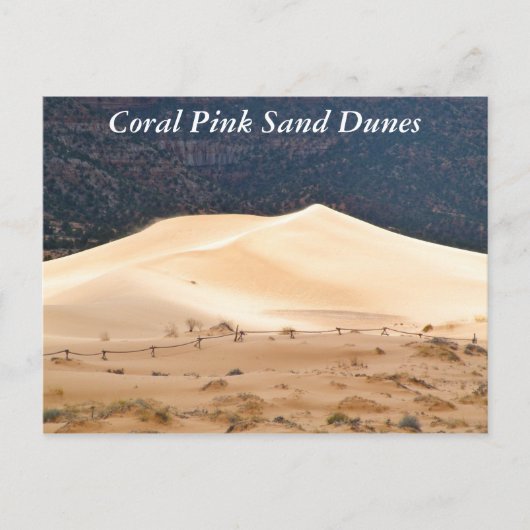 Coral Pink Sand Dunes Postkarte (Vorderseite)