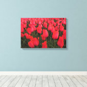 Coral Pink Tulips Leinwanddruck (Insitu (Holzboden))