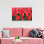 Coral Pink Tulips Leinwanddruck (Insitu (Wohnzimmer))