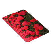Coral Pink Tulips Magnet (Rechte Seite)
