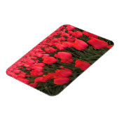 Coral Pink Tulips Magnet (Linke Seite)