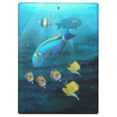 Coral Reef clipboard Klemmbrett (Rückseite)