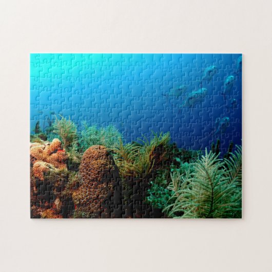 Coral Reef, Dry Tortugas National Park, Florida Puzzle (Horizontal)