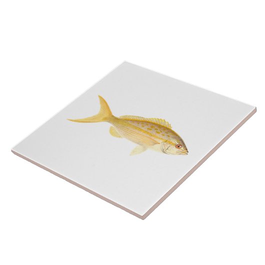 Coral Reef Fish - Yellowtail Snapper Fliese (Seite)