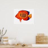Coral Reef Flame Angelfish Poster (Küche)
