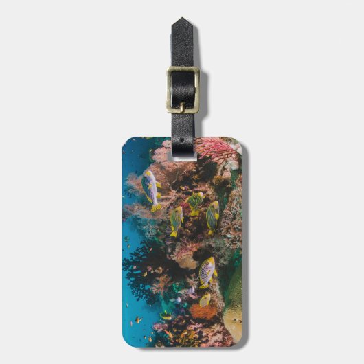 Coral Reef-Gepäckmarke Gepäckanhänger (Vorderseite vertikal)
