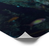 Coral Reef Landschaft | Großauge oder Goggle-Auge Poster (Ecke)