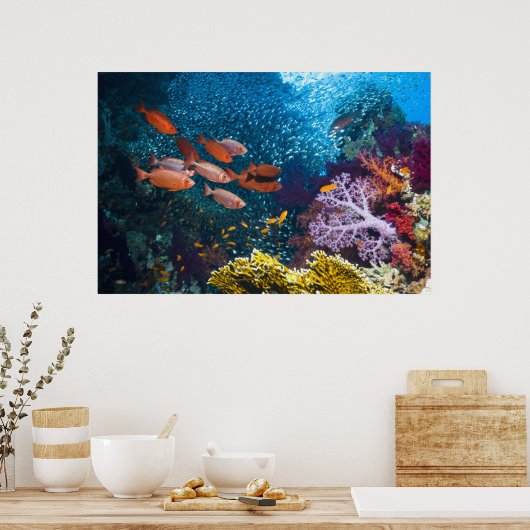 Coral Reef Landschaft | Großauge oder Goggle-Auge Poster (Küche)