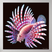 Coral Reef Lionfish Poster (Vorne)