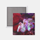 Coral Reef Magnet (Vorderseite/Rückseite)