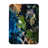 Coral Reef Magnet (Vertikal)