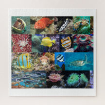 Coral Reef Marine Life Collage, Alter 10, 676 Stüc