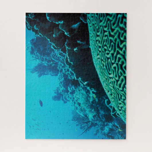 Coral Reef Oasis Puzzle (Vertikal)