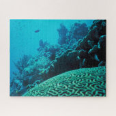 Coral Reef Oasis Puzzle (Horizontal)
