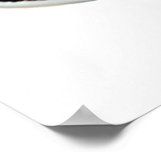 Coral Reef Percula Clownfish Poster (Ecke)