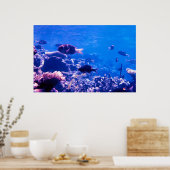 Coral Reef Poster (Küche)