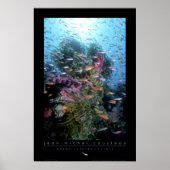 Coral Reef Poster (Vorne)
