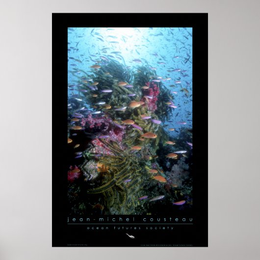 Coral Reef Poster (Vorne)