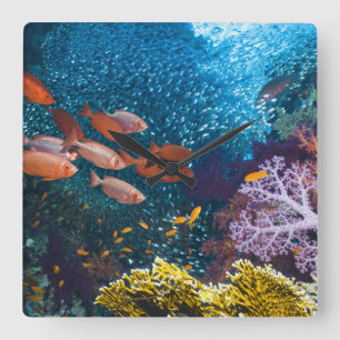 Coral Reef Scenery Bigeye Or Goggle-Eye Quadratische Wanduhr