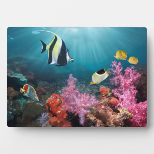 Coral Reef Scenery Moorish Idol Fotoplatte