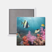 Coral Reef Scenery Moorish Idol Magnet (Vorderseite/Rückseite)