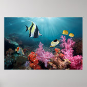 Coral Reef Scenery Moorish Idol Poster (Vorne)