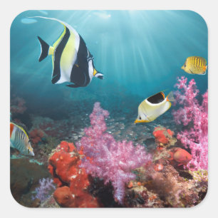 Coral Reef Scenery Moorish Idol Quadratischer Aufkleber