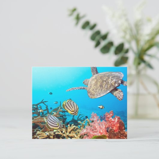 Coral Reef Turtle Naturescape Postkarte (Stehend Vorderseite)