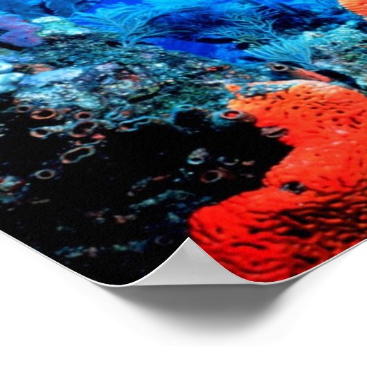 Coral Reef World Poster (Ecke)