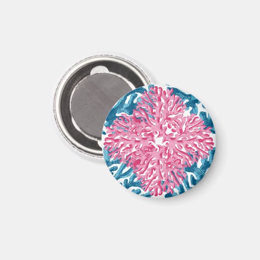 Coral Rococo in Pink and Aqua Option 1 Magnet (Vorderseite/Rückseite)