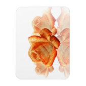 Coral Rose Blossom mit Notenmusik Magnet (Vertikal)