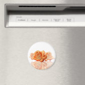 Coral Rose Blossom mit Notenmusik Magnet (In Situ (Geschirrspüler))