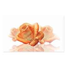 Coral Rose Blossom mit Notenmusik