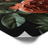 Coral Rose Blume Art Print Poster (Ecke)