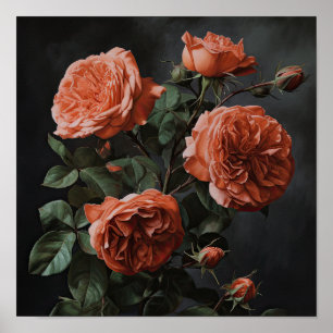 Coral Rose Blume Art Print Poster