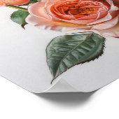 Coral Rose Blume Art Print Poster (Ecke)