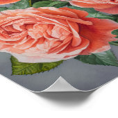 Coral Rose Blume Art Print Poster (Ecke)