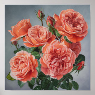 Coral Rose Blume Art Print Poster