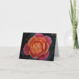 Coral Rose Fine Art Fotografie Klapp Notizkarten Dankeskarte