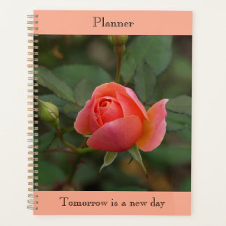 Coral Rose Planer