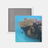 Coral Seascape Magnet (Vorderseite/Rückseite)