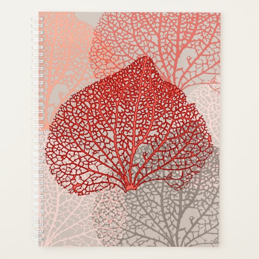 Coral Shadow Planer (Vorderseite)